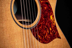 2023-orchestra-standard-rosewood-12