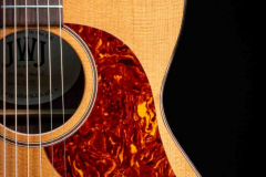 2023-orchestra-standard-rosewood-4