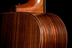 2023-orchestra-standard-rosewood-8